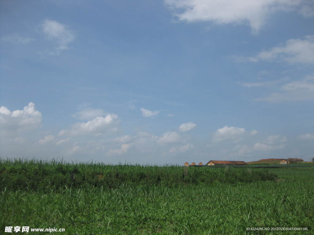 田园风景