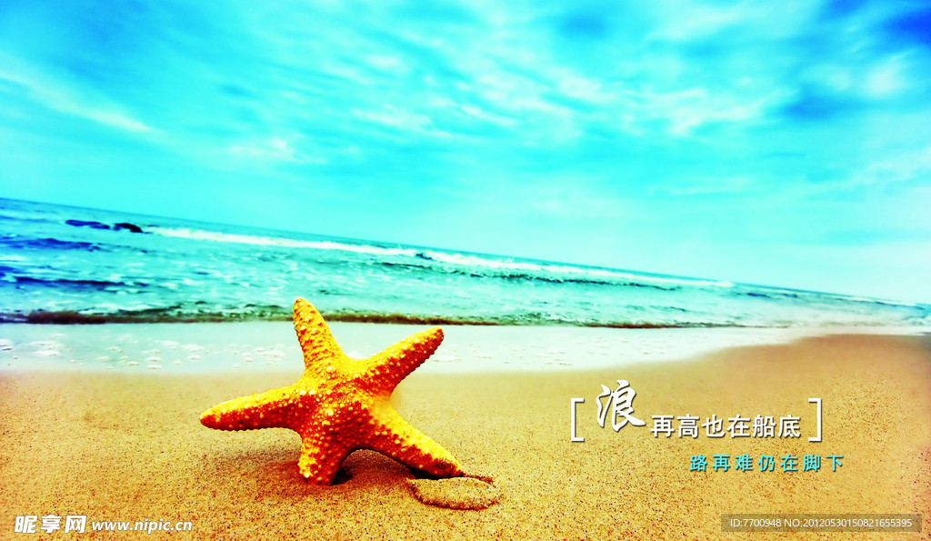 沙滩 海星 蓝天