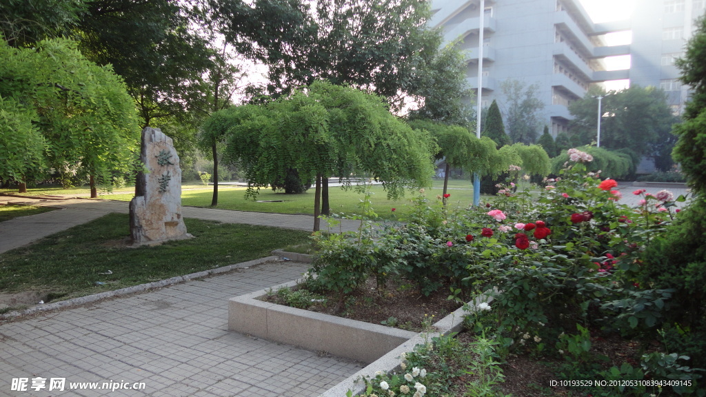 南开大学 敬业广场