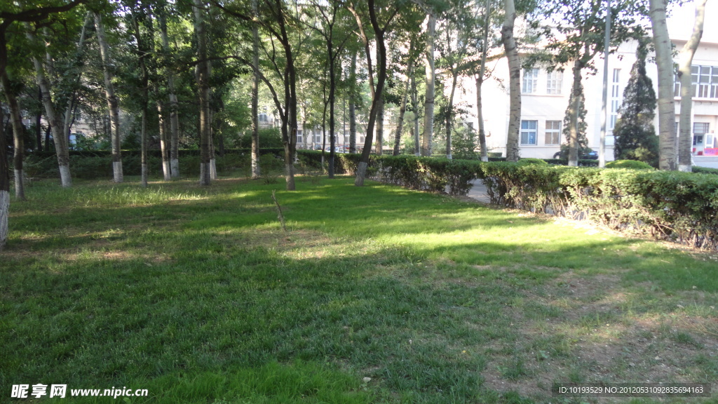 南开大学 晨光与影