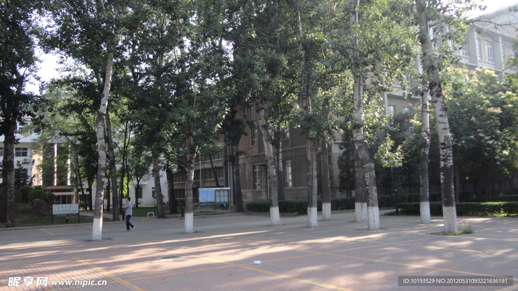 南开大学 老图广场