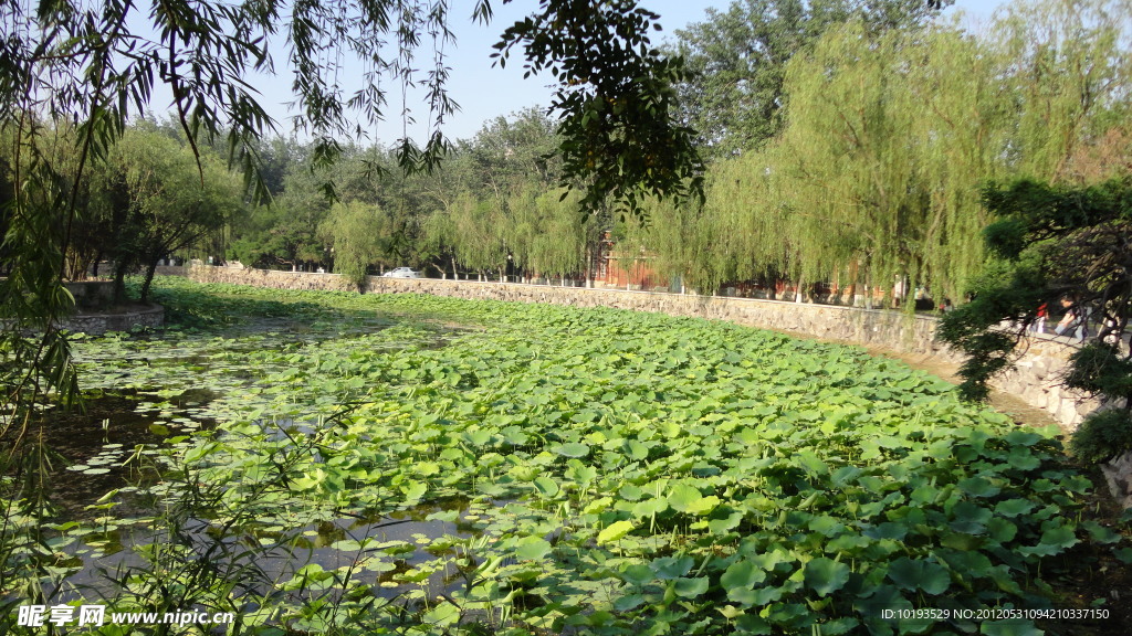 南开大学 马蹄湖韵