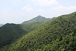 大山