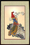 相框孔雀
