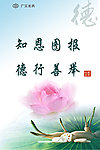 感恩文化