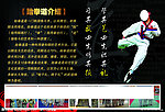 跆拳道宣传