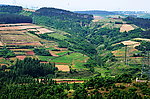 山野的土地（非高清）
