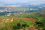 茴香山谷地