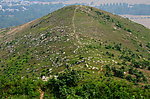 去山顶的小路