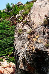 茴香山石壁
