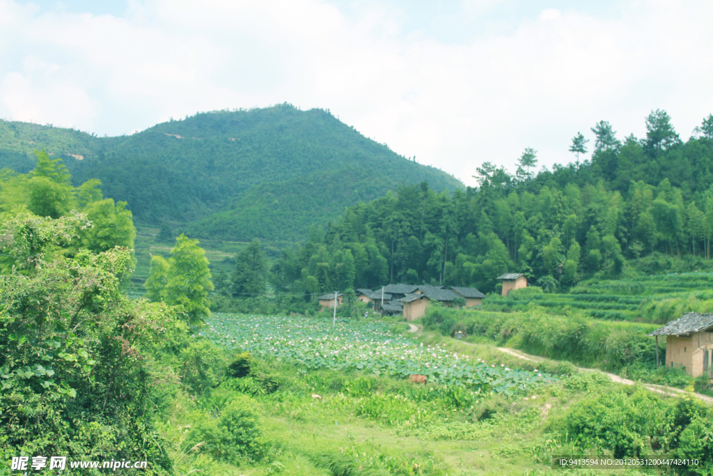 乡村风光