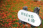 生命之源