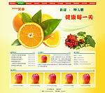 果业公司网页模版
