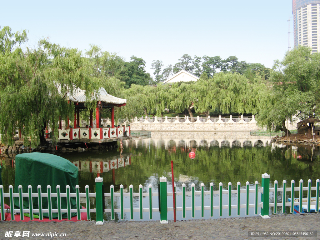 大连风景 荷花池