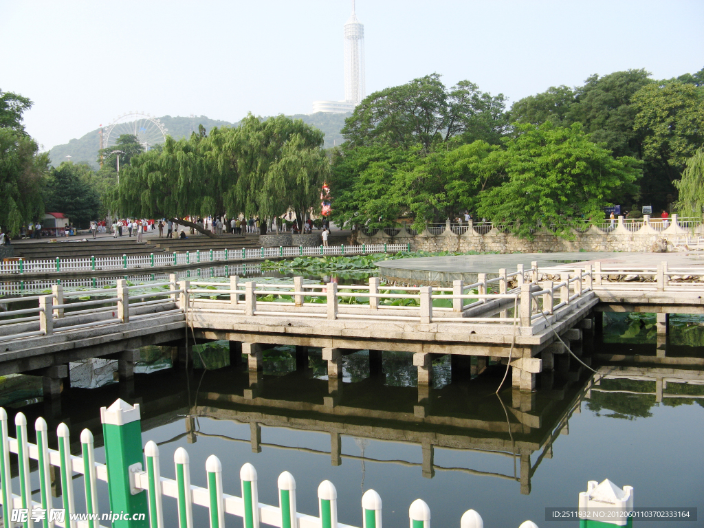 大连劳动公园荷花池一角