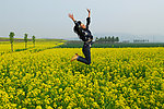 大清河油菜花
