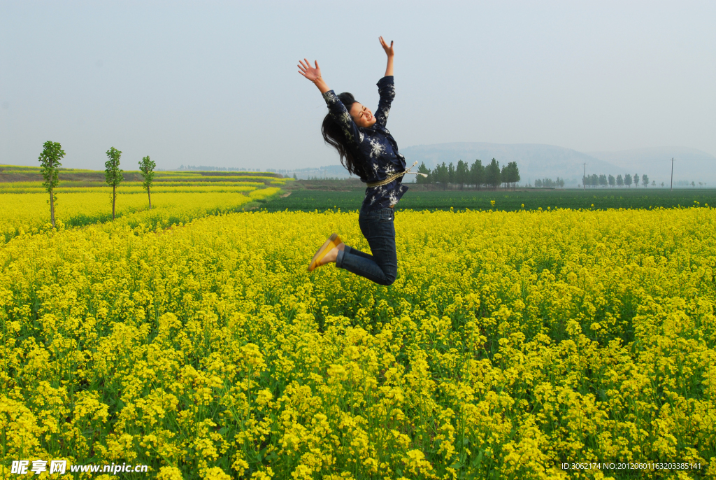 大清河油菜花