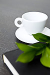 茶艺生活
