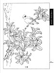 工笔画线描百花画谱 丁香