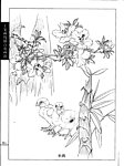 工笔画线描百花画谱 杜鹃