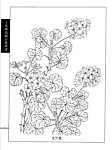工笔画线描百花画谱