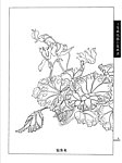 工笔画线描百花画谱