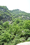 大峪风光