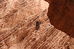 天山神秘大峡谷