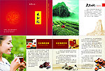 大红袍 红茶 茶文化 画册