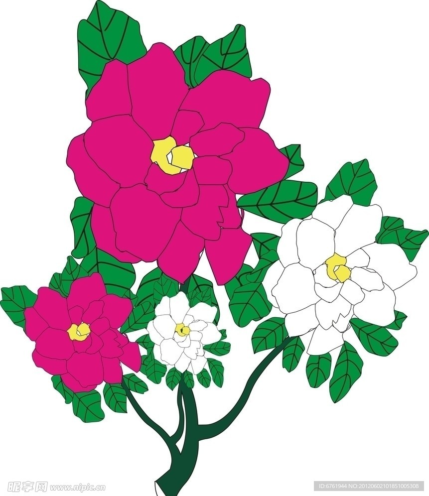花朵