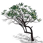 家居饰品艺花