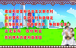 社会主义新农村