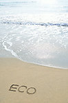 沙滩海滩eco环保标志