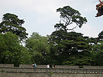 沈阳东陵