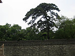 沈阳东陵
