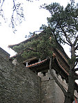 沈阳 东陵公园 福陵