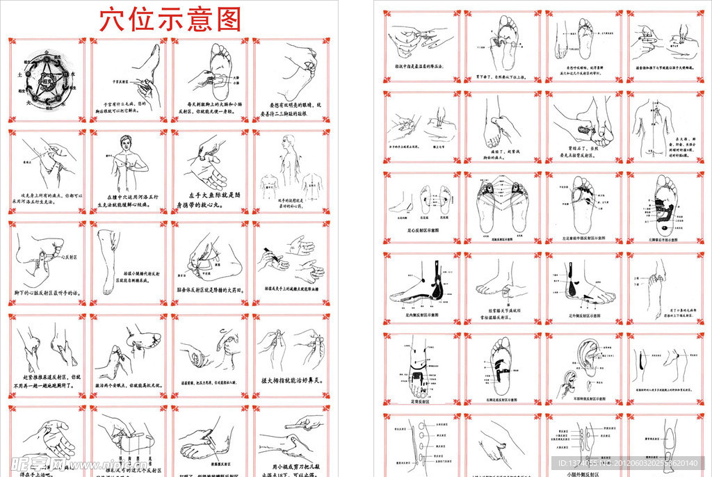 穴位示意图 (注为位图)