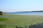 东平湖 风光
