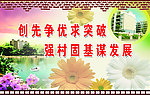 社区文化
