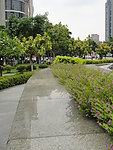 花草
