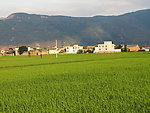 农家生活