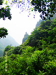 山林雅趣