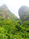 山林雅趣