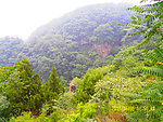 山林雅趣