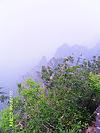 山林雅趣
