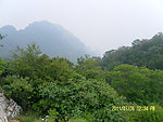 山景