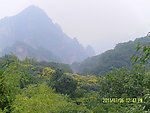 山景