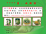 端午 端午情