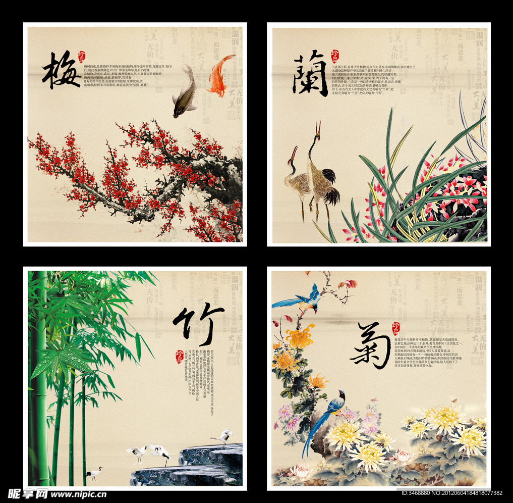 梅兰竹菊