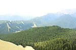 南山